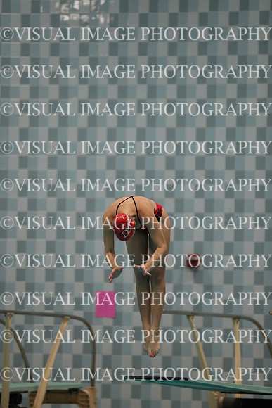 WISWG_17_D10024