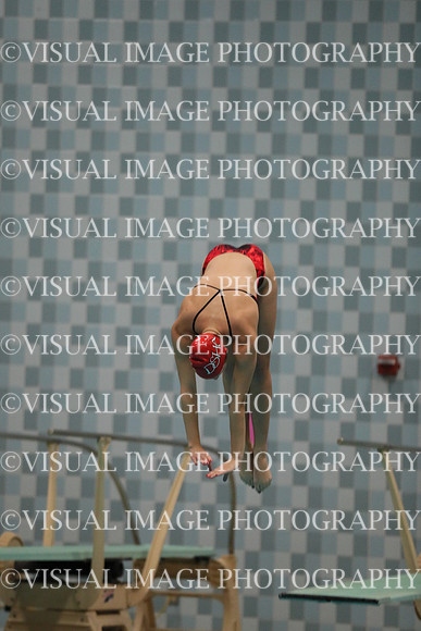 WISWG_17_D10029