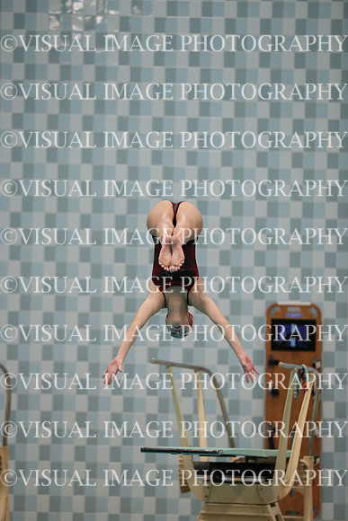 WISWG_17_D10032