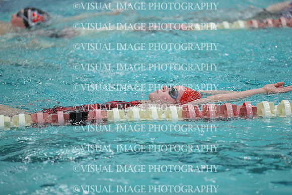 WISWG_17_S10004
