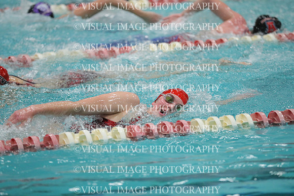 WISWG_17_S10007