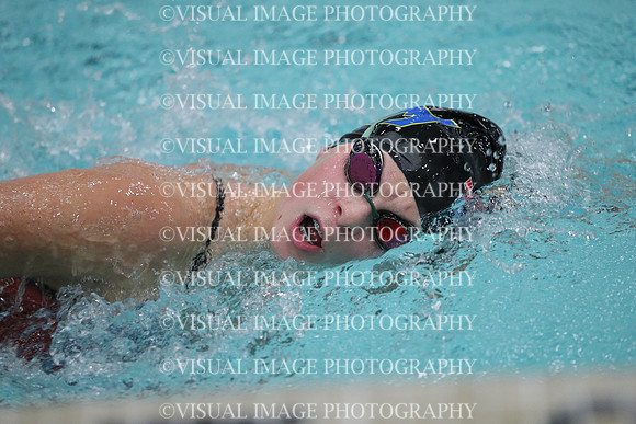 WISWG_17_S10008