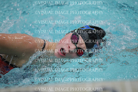 WISWG_17_S10009