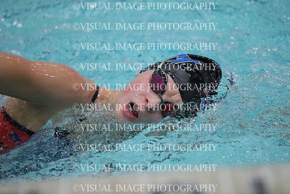 WISWG_17_S10010
