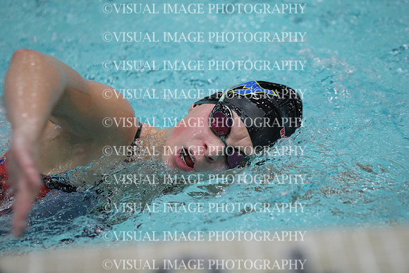 WISWG_17_S10011