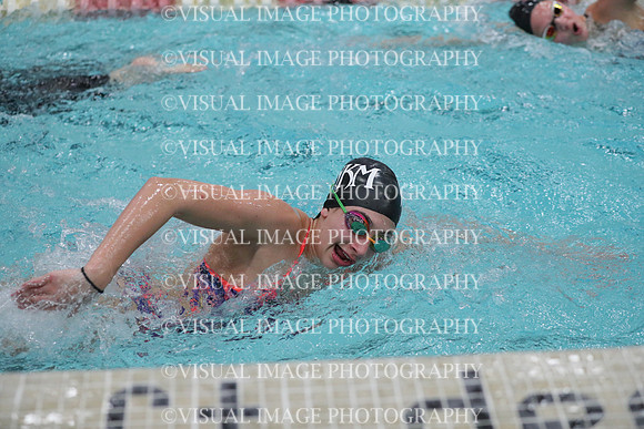 WISWG_17_S10012