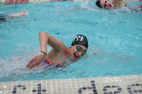 WISWG_17_S10013