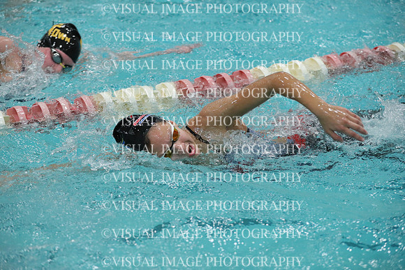WISWG_17_S10019