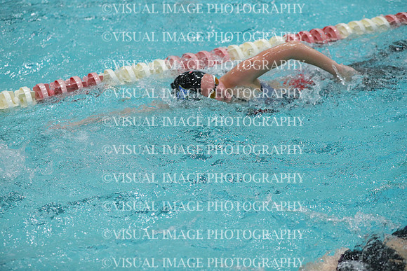 WISWG_17_S10021