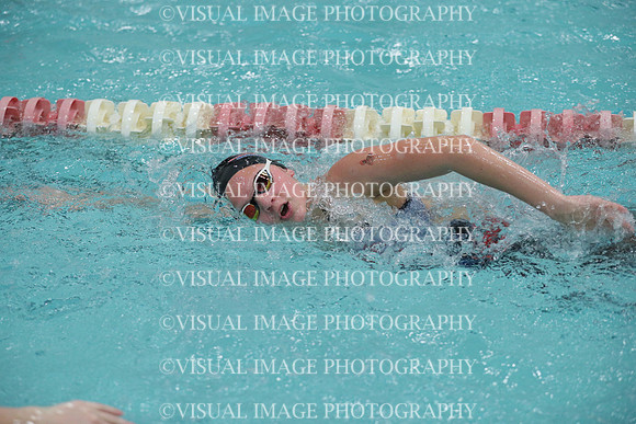 WISWG_17_S10023