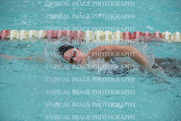 WISWG_17_S10022