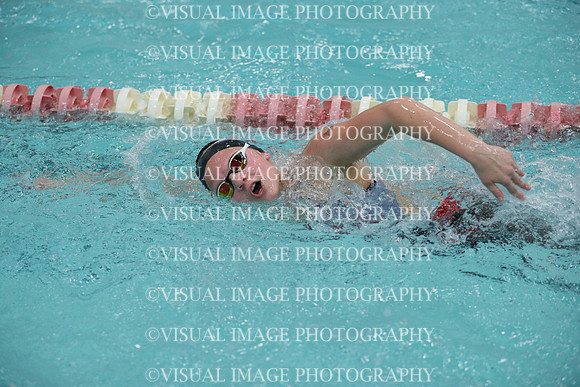 WISWG_17_S10024