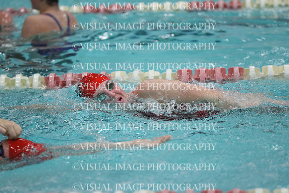 WISWG_17_S10026