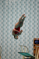 Diving