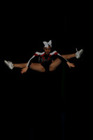 ILCHEER_11_C15018