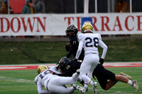 Lena-Winslow vs Belleville Althoff Catholic