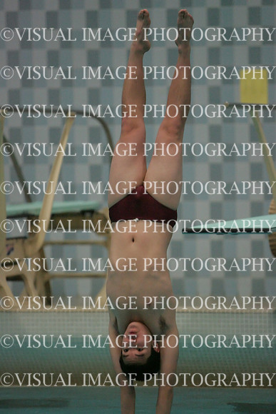 wisw09_dv_2008