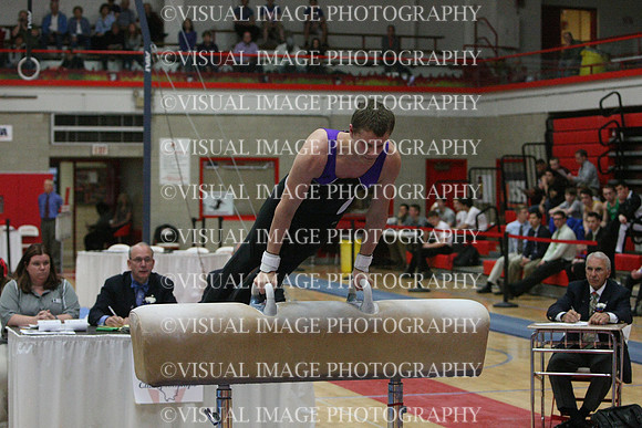 ILGYM14_PHORSE_I051
