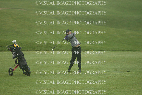 WIGFG_13_IND2005