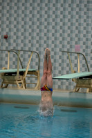 wisw10_dive_1002