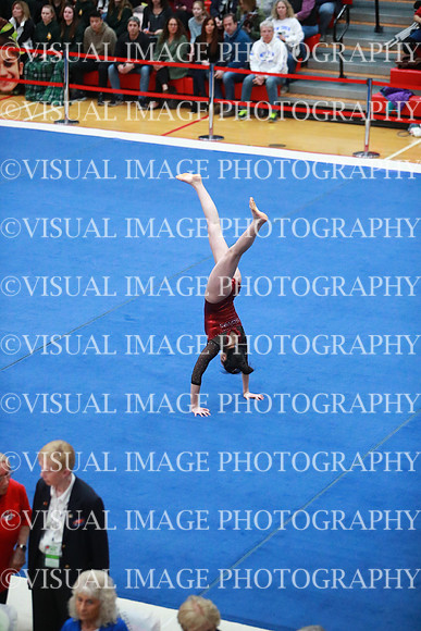 ILGYMG18_FLOOR_P0016