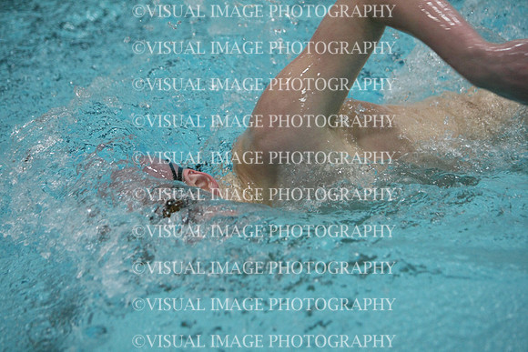 wisw10_5free_2029