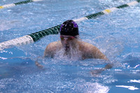 ILSW17_100BREAST_F095