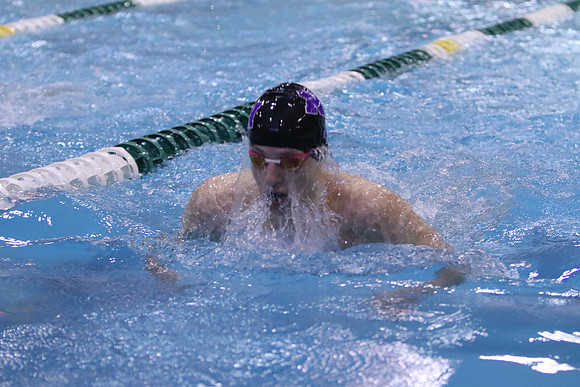 ILSW17_100BREAST_F095