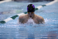 ILSW17_100BREAST_F051