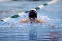 ILSW17_100BREAST_F050