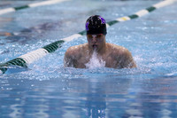 ILSW17_100BREAST_F055