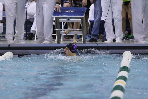 ILSW17_100BREAST_F100