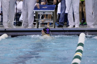ILSW17_100BREAST_F099