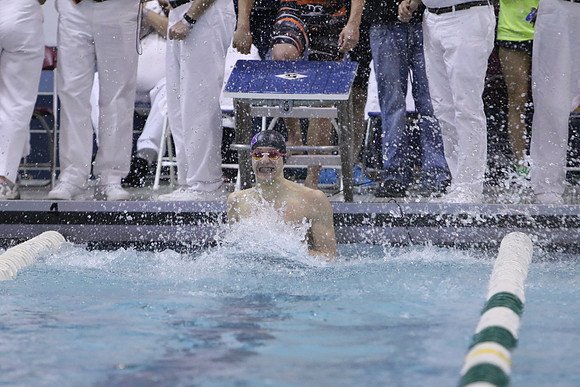 ILSW17_100BREAST_F103