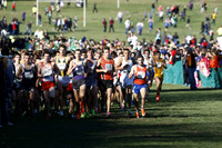 ILXC_13_30013
