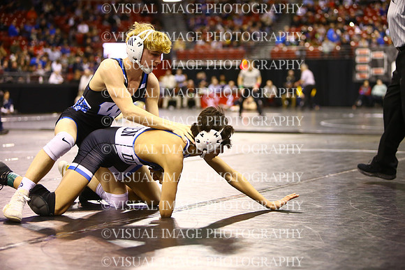 WIIWR25_113_C2010