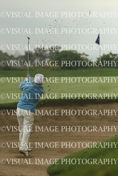 WIGFG_13_T109006