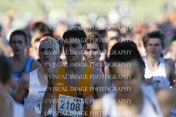 ILXC_13_30041