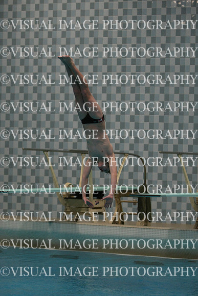 wisw10_dive_1005