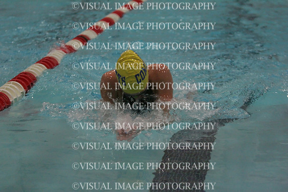 wiswg09_1breast_2015