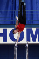 Parallel Bars