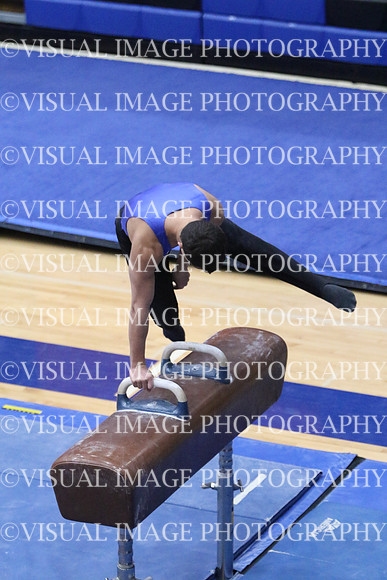 ILGYM18_HORSE_T0006