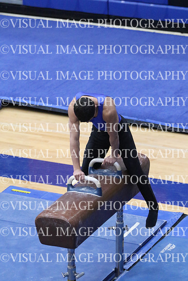 ILGYM18_HORSE_T0007