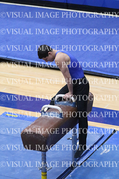 ILGYM18_HORSE_T0008
