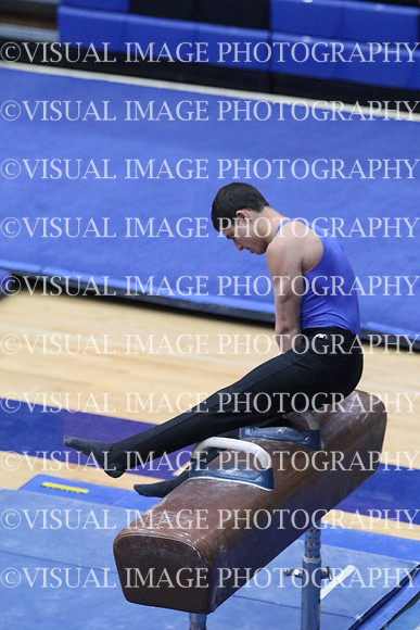 ILGYM18_HORSE_T0009