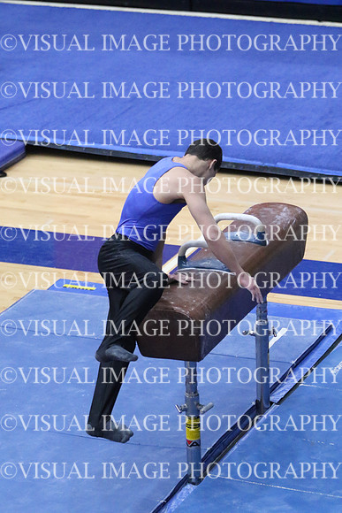 ILGYM18_HORSE_T0022