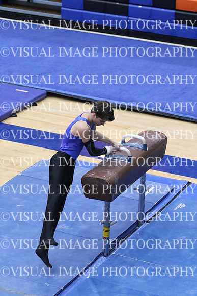 ILGYM18_HORSE_T0033
