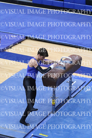 ILGYM18_HORSE_T0034