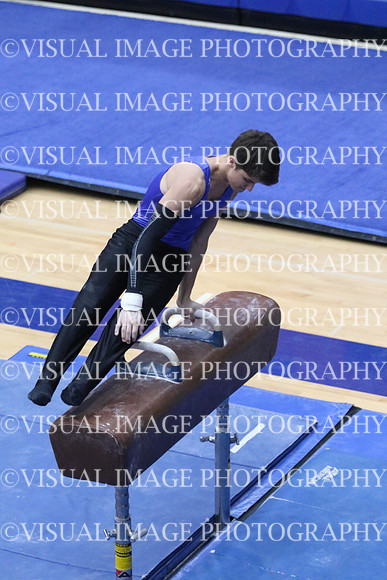 ILGYM18_HORSE_T0035