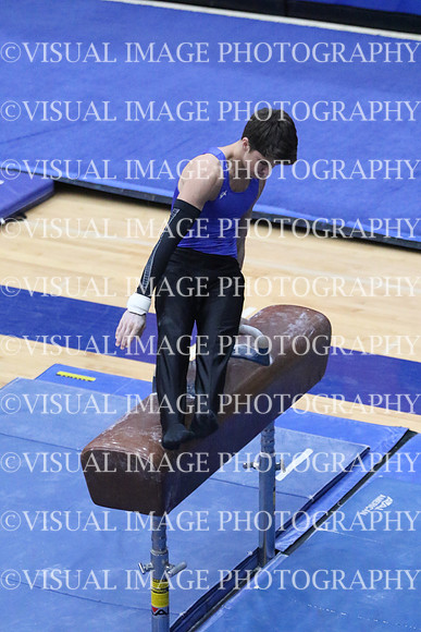 ILGYM18_HORSE_T0036